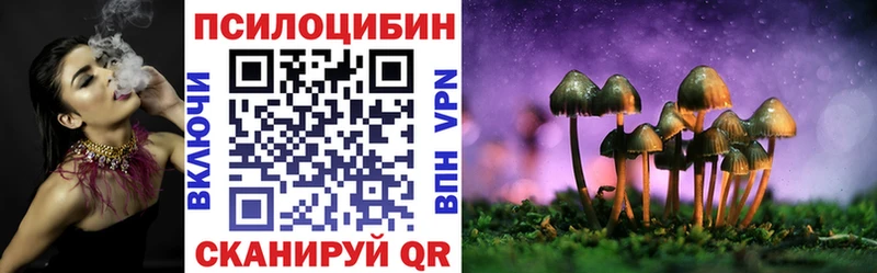 наркота  Цивильск  Псилоцибиновые грибы прущие грибы 